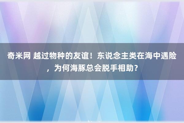 奇米网 越过物种的友谊！东说念主类在海中遇险，为何海豚总会脱手相助？