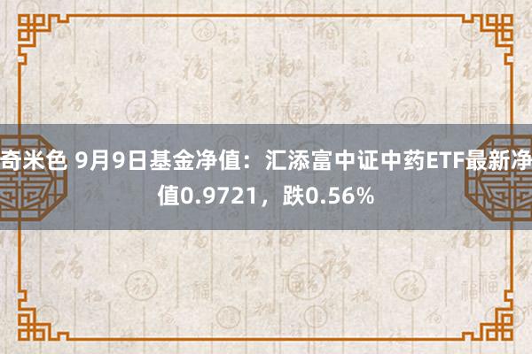 奇米色 9月9日基金净值：汇添富中证中药ETF最新净值0.9721，跌0.56%