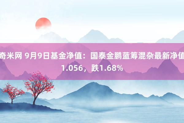 奇米网 9月9日基金净值：国泰金鹏蓝筹混杂最新净值1.056，跌1.68%