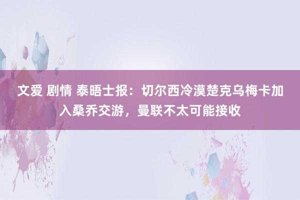 文爱 剧情 泰晤士报：切尔西冷漠楚克乌梅卡加入桑乔交游，曼联不太可能接收