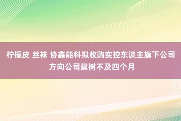 柠檬皮 丝袜 协鑫能科拟收购实控东谈主旗下公司 方向公司建树不及四个月