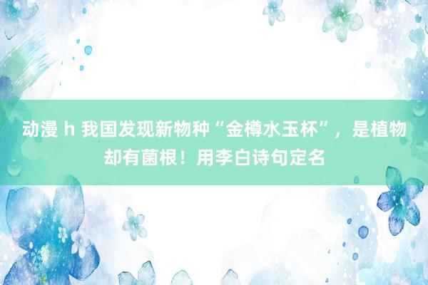 动漫 h 我国发现新物种“金樽水玉杯”，是植物却有菌根！用李白诗句定名