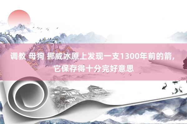 调教 母狗 挪威冰原上发现一支1300年前的箭， 它保存得十分完好意思