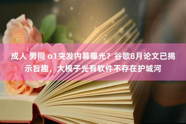 成人 男同 o1突发内幕曝光？谷歌8月论文已揭示旨趣，大模子光有软件不存在护城河