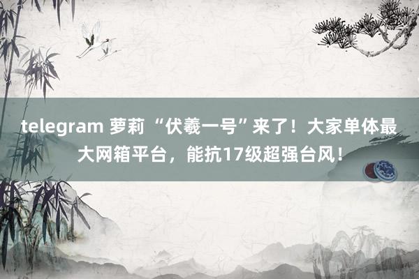 telegram 萝莉 “伏羲一号”来了！大家单体最大网箱平台，能抗17级超强台风！