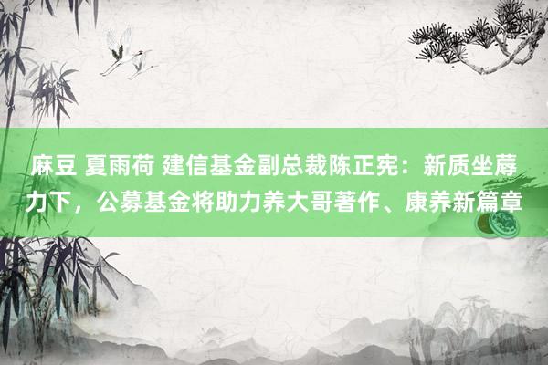 麻豆 夏雨荷 建信基金副总裁陈正宪：新质坐蓐力下，公募基金将助力养大哥著作、康养新篇章