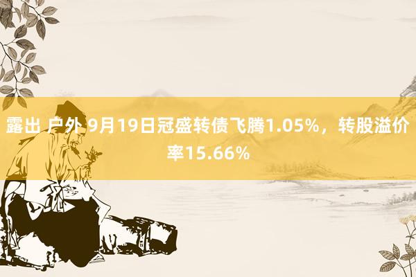 露出 户外 9月19日冠盛转债飞腾1.05%，转股溢价率15.66%