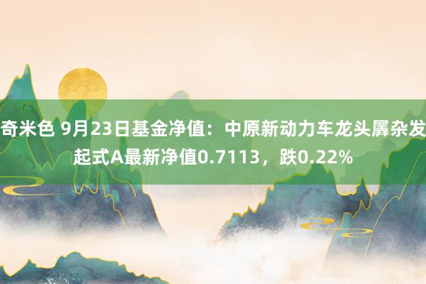 奇米色 9月23日基金净值：中原新动力车龙头羼杂发起式A最新净值0.7113，跌0.22%