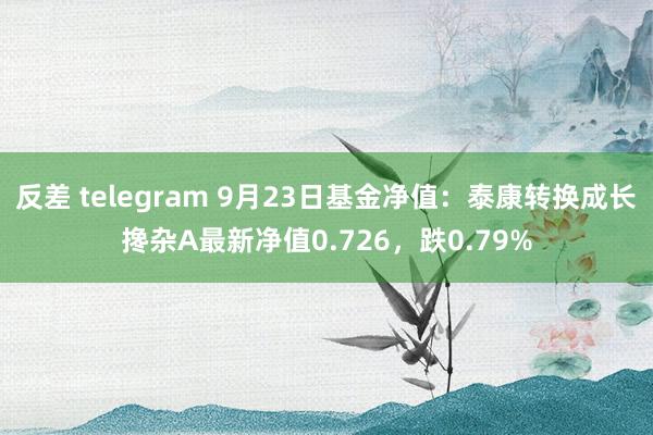 反差 telegram 9月23日基金净值：泰康转换成长搀杂A最新净值0.726，跌0.79%