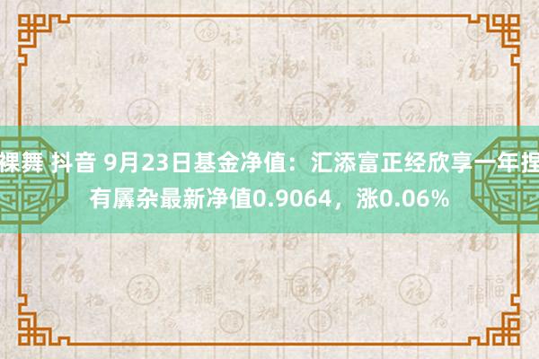 裸舞 抖音 9月23日基金净值：汇添富正经欣享一年捏有羼杂最新净值0.9064，涨0.06%