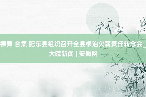 裸舞 合集 肥东县组织召开全县根治欠薪责任转念会_大皖新闻 | 安徽网