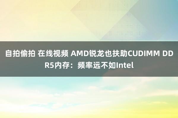 自拍偷拍 在线视频 AMD锐龙也扶助CUDIMM DDR5内存：频率远不如Intel