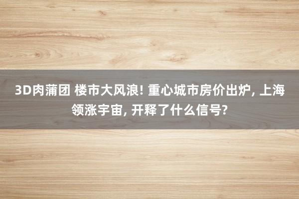 3D肉蒲团 楼市大风浪! 重心城市房价出炉, 上海领涨宇宙, 开释了什么信号?