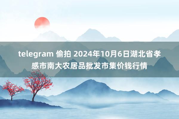 telegram 偷拍 2024年10月6日湖北省孝感市南大农居品批发市集价钱行情