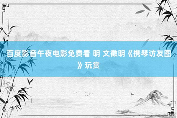 百度影音午夜电影免费看 明 文徵明《携琴访友图》玩赏