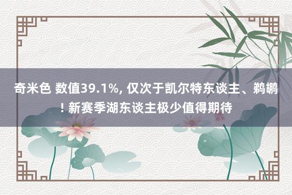 奇米色 数值39.1%， 仅次于凯尔特东谈主、鹈鹕! 新赛季湖东谈主极少值得期待