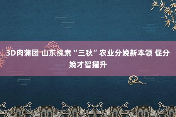 3D肉蒲团 山东探索“三秋”农业分娩新本领 促分娩才智擢升