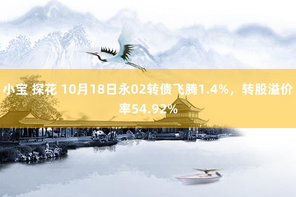 小宝 探花 10月18日永02转债飞腾1.4%，转股溢价率54.92%