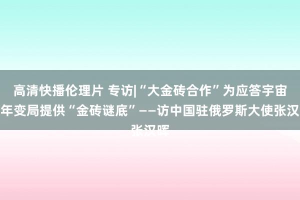 高清快播伦理片 专访|“大金砖合作”为应答宇宙百年变局提供“金砖谜底”——访中国驻俄罗斯大使张汉晖