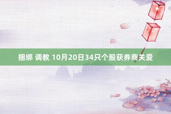 捆绑 调教 10月20日34只个股获券商关爱