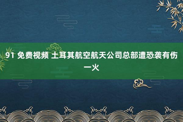 91 免费视频 土耳其航空航天公司总部遭恐袭有伤一火