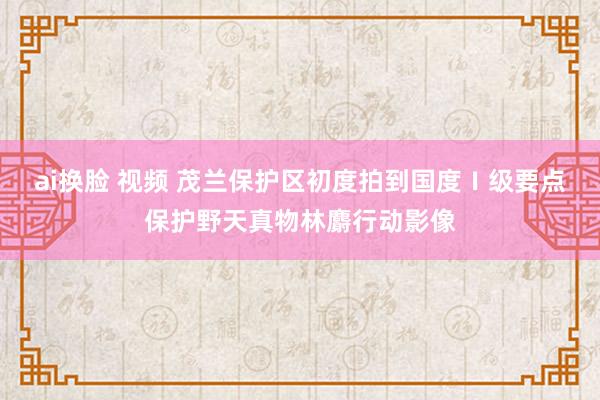 ai换脸 视频 茂兰保护区初度拍到国度Ⅰ级要点保护野天真物林麝行动影像