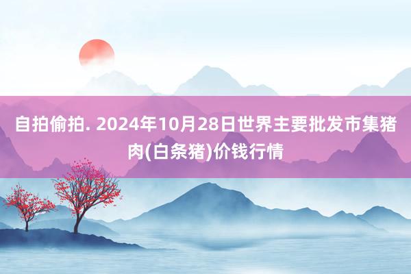 自拍偷拍. 2024年10月28日世界主要批发市集猪肉(白条猪)价钱行情