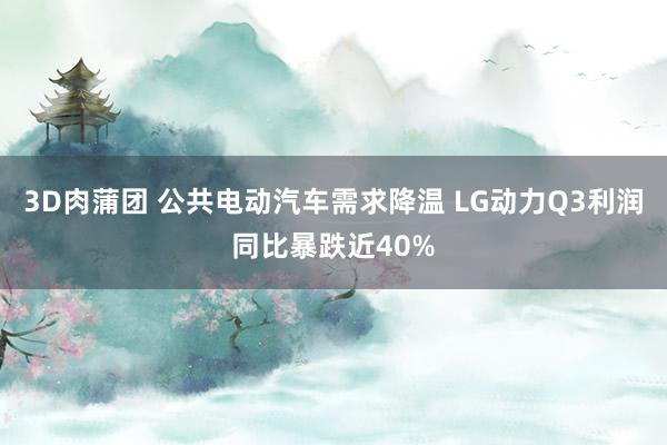 3D肉蒲团 公共电动汽车需求降温 LG动力Q3利润同比暴跌近40%