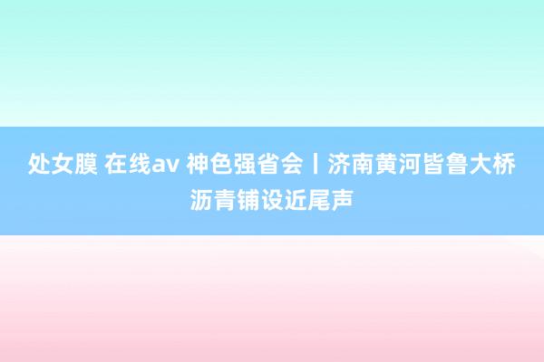 处女膜 在线av 神色强省会丨济南黄河皆鲁大桥沥青铺设近尾声