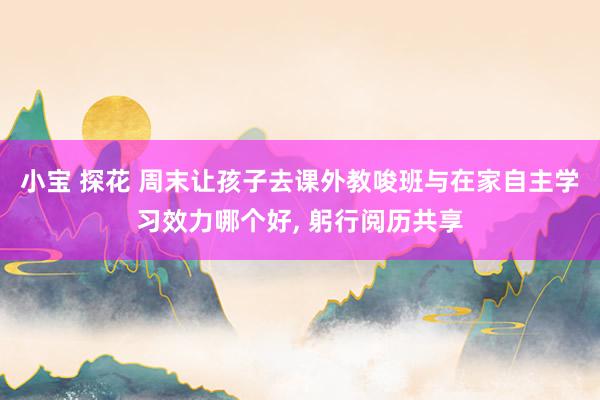 小宝 探花 周末让孩子去课外教唆班与在家自主学习效力哪个好， 躬行阅历共享