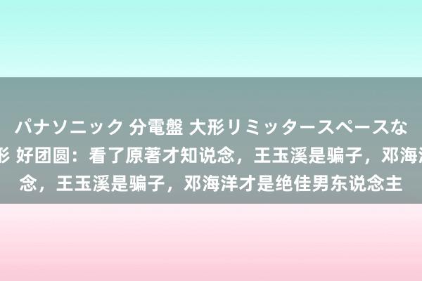 パナソニック 分電盤 大形リミッタースペースなし 露出・半埋込両用形 好团圆：看了原著才知说念，王玉溪是骗子，邓海洋才是绝佳男东说念主