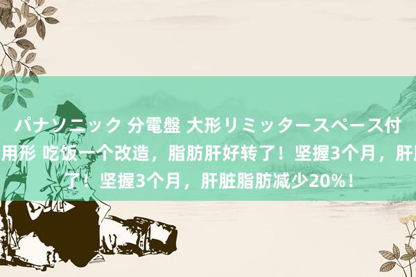 パナソニック 分電盤 大形リミッタースペース付 露出・半埋込両用形 吃饭一个改造，脂肪肝好转了！坚握3个月，肝脏脂肪减少20%！