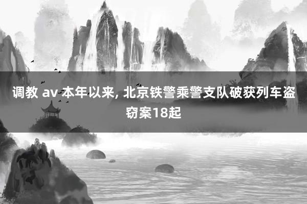 调教 av 本年以来， 北京铁警乘警支队破获列车盗窃案18起