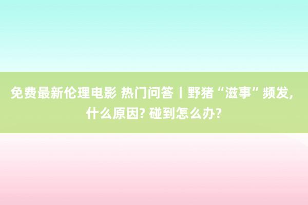 免费最新伦理电影 热门问答丨野猪“滋事”频发, 什么原因? 碰到怎么办?