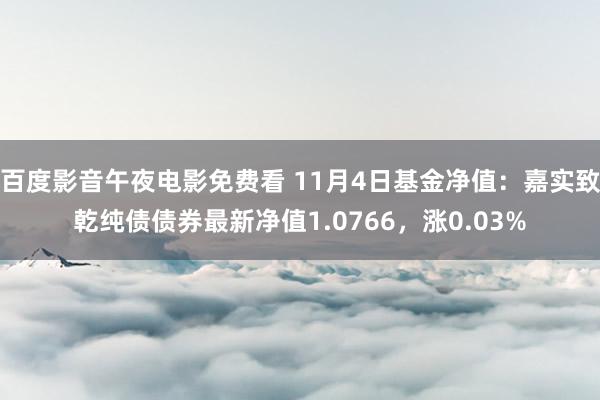 百度影音午夜电影免费看 11月4日基金净值：嘉实致乾纯债债券最新净值1.0766，涨0.03%