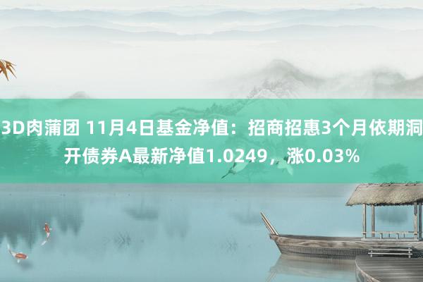 3D肉蒲团 11月4日基金净值：招商招惠3个月依期洞开债券A最新净值1.0249，涨0.03%