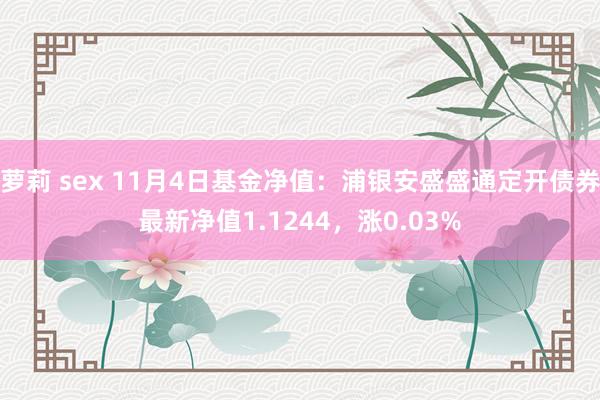 萝莉 sex 11月4日基金净值：浦银安盛盛通定开债券最新净值1.1244，涨0.03%