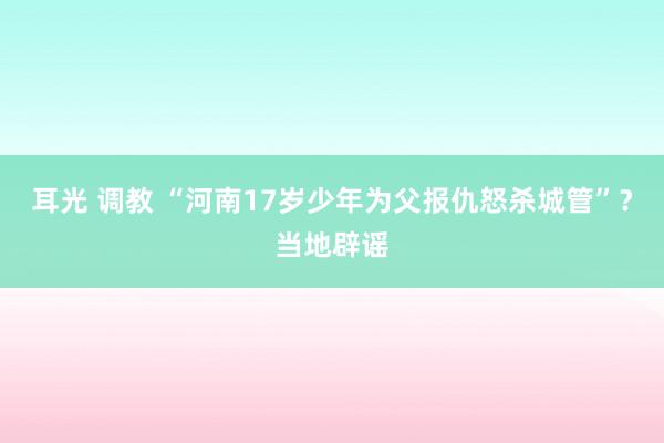 耳光 调教 “河南17岁少年为父报仇怒杀城管”？当地辟谣