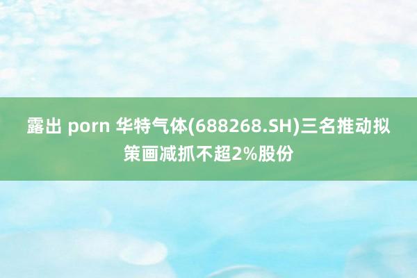 露出 porn 华特气体(688268.SH)三名推动拟策画减抓不超2%股份