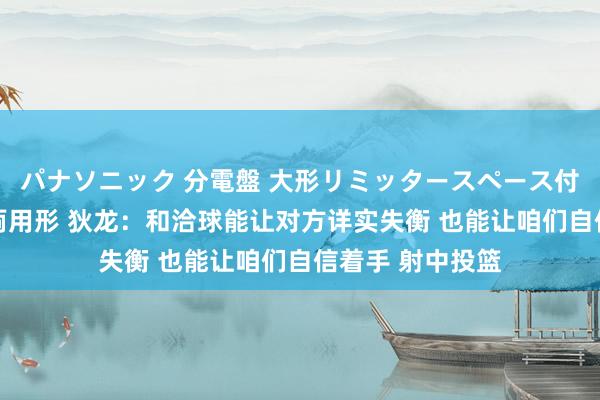 パナソニック 分電盤 大形リミッタースペース付 露出・半埋込両用形 狄龙：和洽球能让对方详实失衡 也能让咱们自信着手 射中投篮