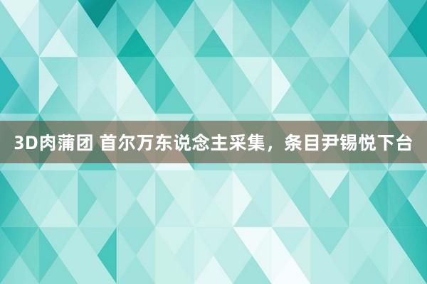 3D肉蒲团 首尔万东说念主采集，条目尹锡悦下台