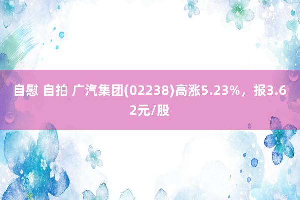 自慰 自拍 广汽集团(02238)高涨5.23%，报3.62元/股