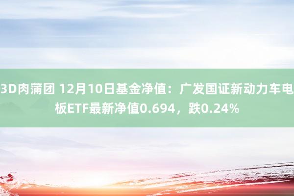 3D肉蒲团 12月10日基金净值：广发国证新动力车电板ETF最新净值0.694，跌0.24%