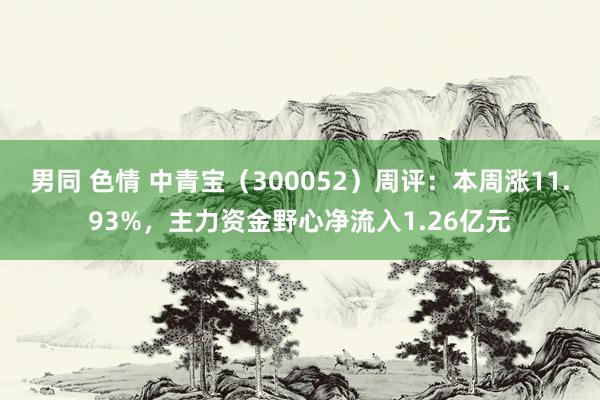 男同 色情 中青宝（300052）周评：本周涨11.93%，主力资金野心净流入1.26亿元