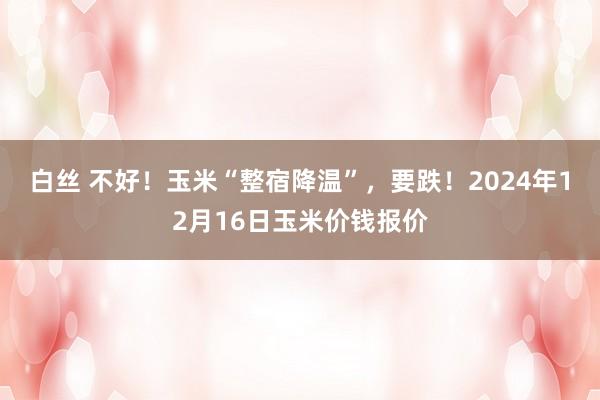 白丝 不好！玉米“整宿降温”，要跌！2024年12月16日玉米价钱报价