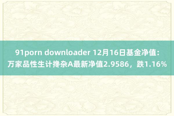 91porn downloader 12月16日基金净值：万家品性生计搀杂A最新净值2.9586，跌1.16%