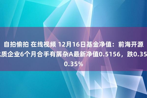 自拍偷拍 在线视频 12月16日基金净值：前海开源优质企业6个月合手有羼杂A最新净值0.5156，跌0.35%