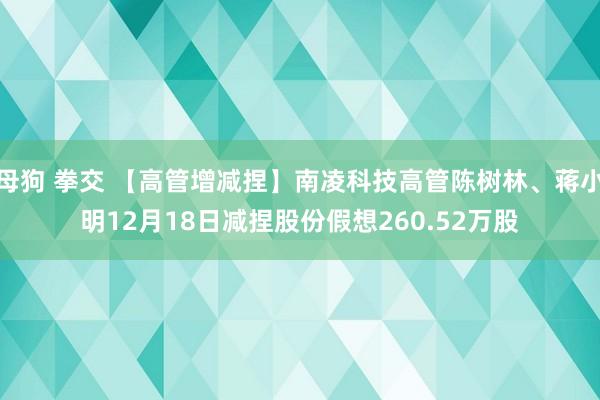 母狗 拳交 【高管增减捏】南凌科技高管陈树林、蒋小明12月18日减捏股份假想260.52万股