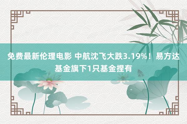 免费最新伦理电影 中航沈飞大跌3.19%！易方达基金旗下1只基金捏有