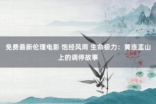 免费最新伦理电影 饱经风雨 生命极力：黄连盂山上的调停故事